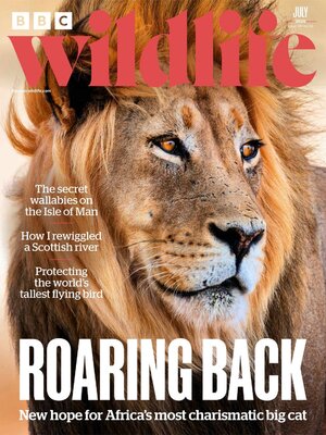 BBC Wildlife Magazine - Magazine